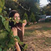 Yenişehir Bölgesinde Rüyalarınızın Hayallerini Canlandıran Escort