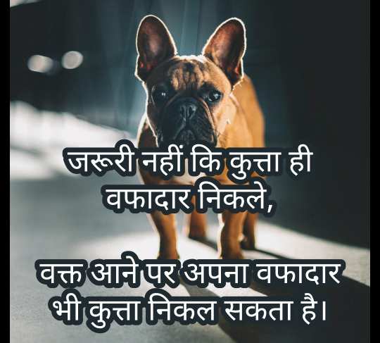 Attitude-Caption-for-instagram-in-Hindi